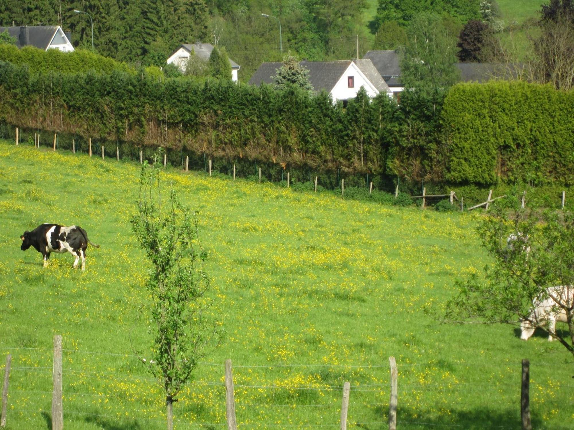 Contemporary Holiday Home In Houffalize With Private Garden Dış mekan fotoğraf